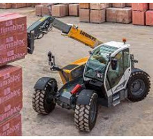Ремонт насоса гідроходу Liebherr T 35-6