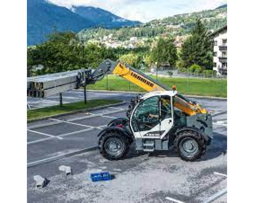 Ремонт гідроциліндра Liebherr T 32-7